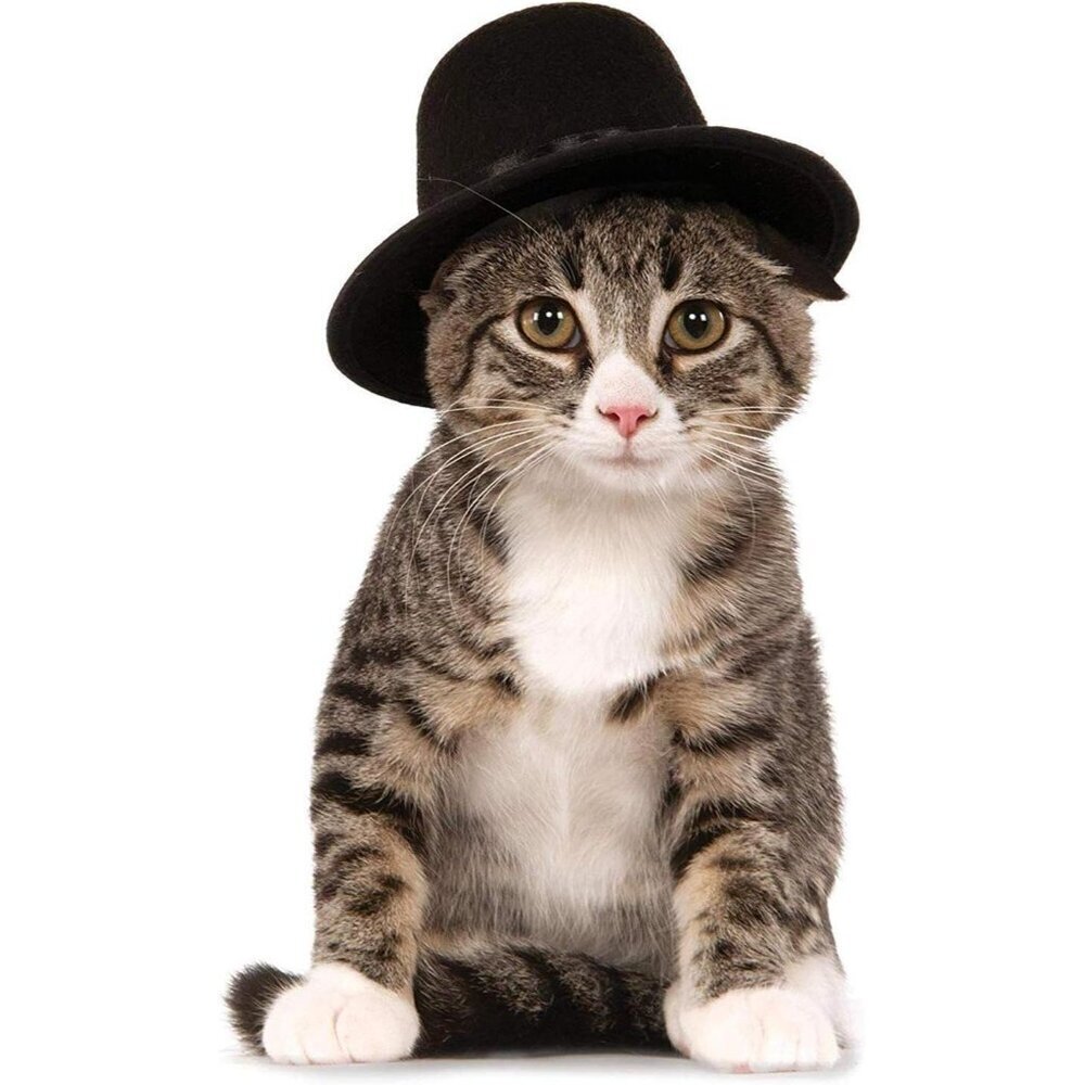 🆕Rubies Top Hat Pet Hat for Dogs or Cats, S/M - Picture 6 of 6